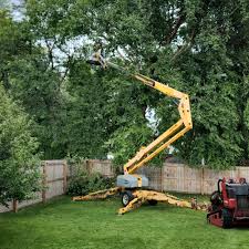 Best Hazardous Tree Removal  in Four Cners, OR